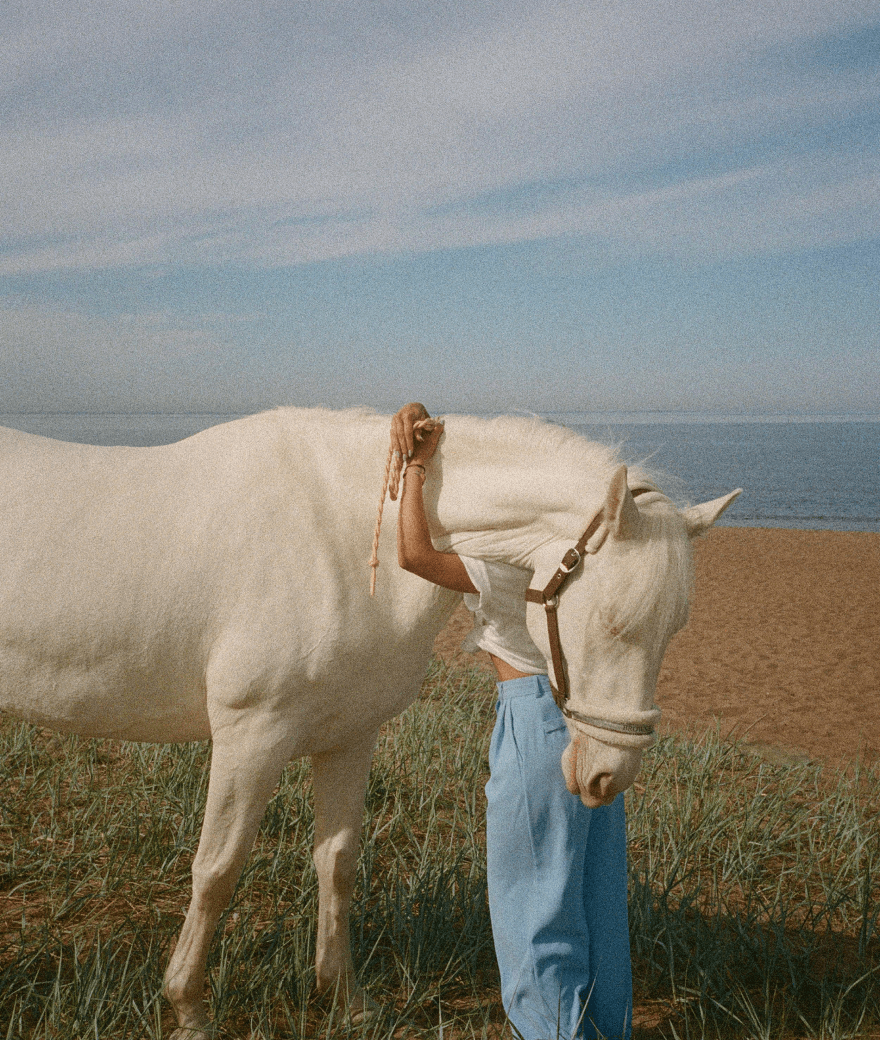 woman hugging a horse