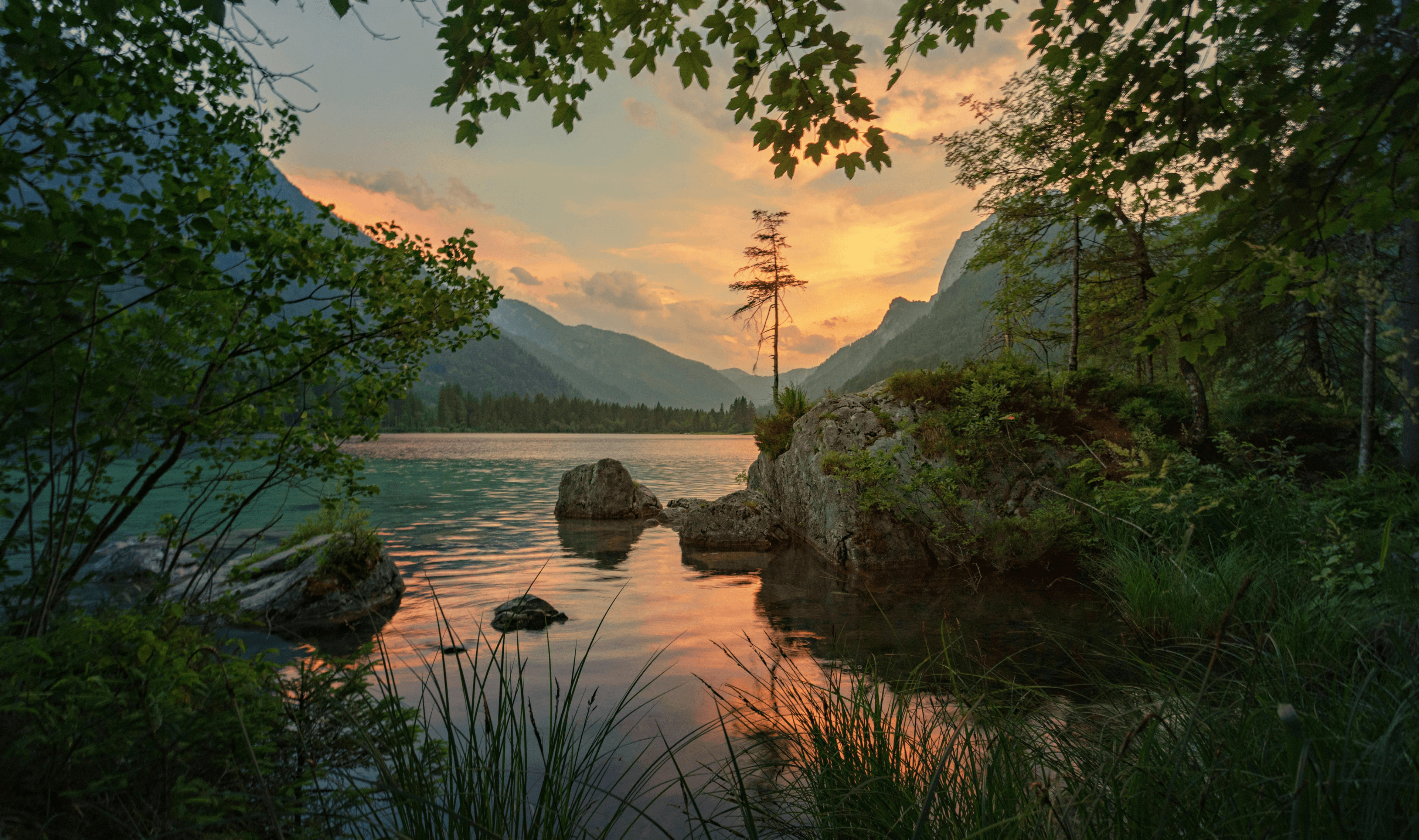 trees surrounding a lake with a mountain in the background